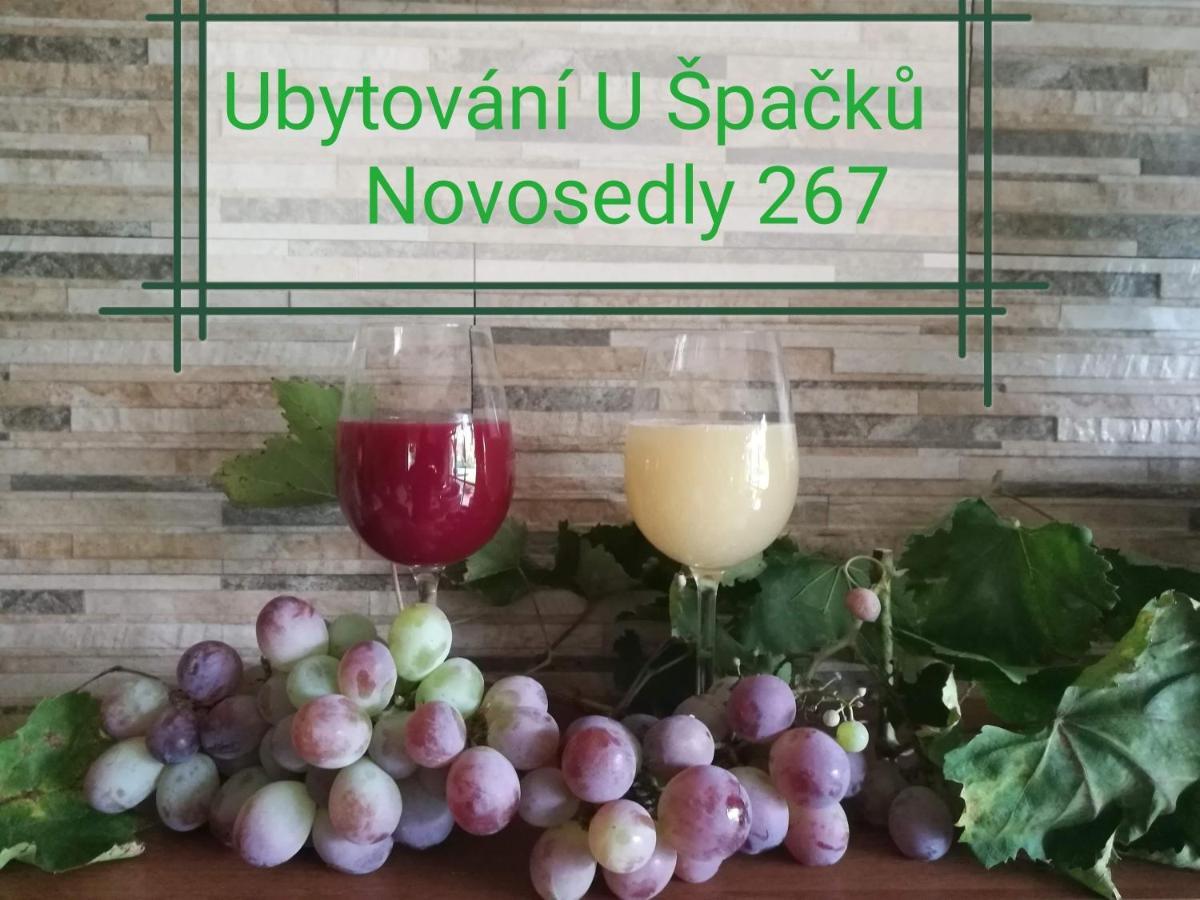 Ubytovani U Spacku Palava Novosedly  Eksteriør bilde