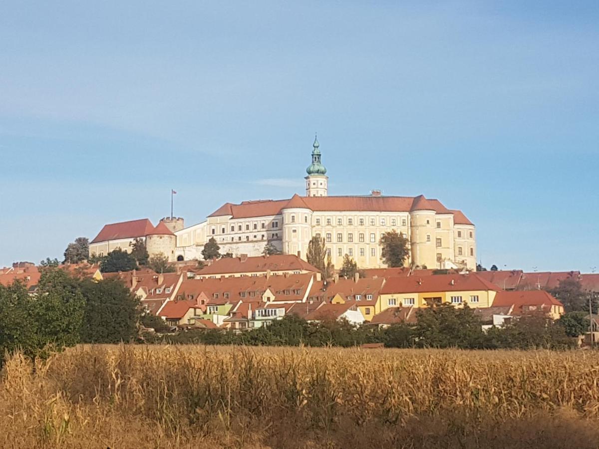 Ubytovani U Spacku Palava Novosedly  Eksteriør bilde