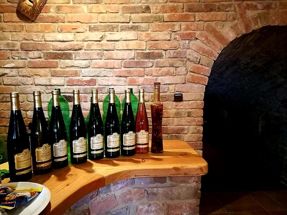 Ubytovani U Spacku Palava Novosedly  Eksteriør bilde